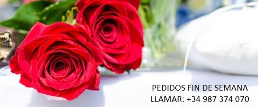 Floristería Grupo Funerario del Orbigo
